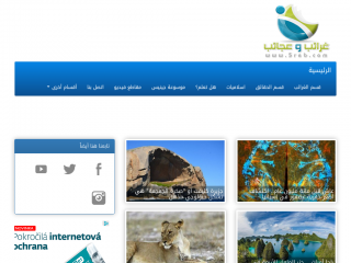 غرائب وعجائب ولقطات فيديو - 5reb.com